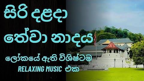 Daily Dose of Calm – Siri Dalada Healing Music ලෝකයේ ඇති Relaxing Music එක කිව්වොත් නිවැරදි