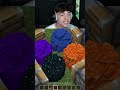 The Most Illegal Minecraft Video! 😱