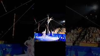 The impossible made possible.#acrobatics #circusartist #circus