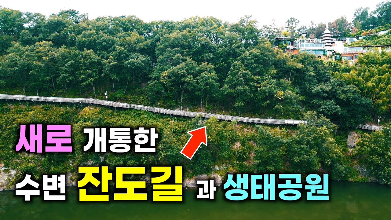 밀양 용두산 달팽이 산책로와 금시당길 코스 완벽 정리 | 강을 따라 걷는 고요한 수변 잔도 무장애 데크길 산책