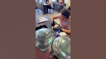 Training Scalp Micropigmentation Artist - Fake Skin