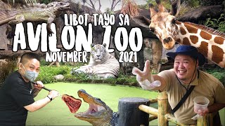 Avilon Zoo Tour | The Largest Zoological Park in the Philippines, November 2021