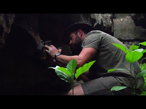 【絶滅動物探検隊】カバ [Full]  Extinct Or Alive (ディスカバリーチャンネル)