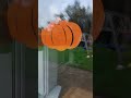 happy halloween pumpkins