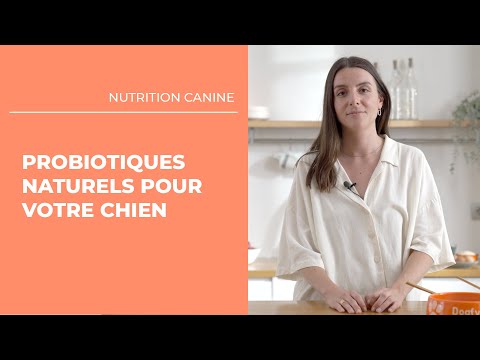 Vidéo: La vérité choquante sur les chiens et l'ail