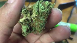 January 7 2020 (21+ video)