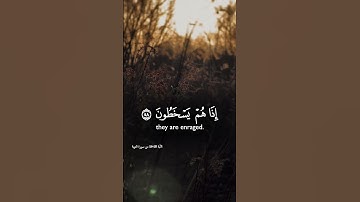 اكتب شيئا تؤجر عليه #تلاوة_خاشعة #القران_الكريم #ياسر_الدوسري #المصحف