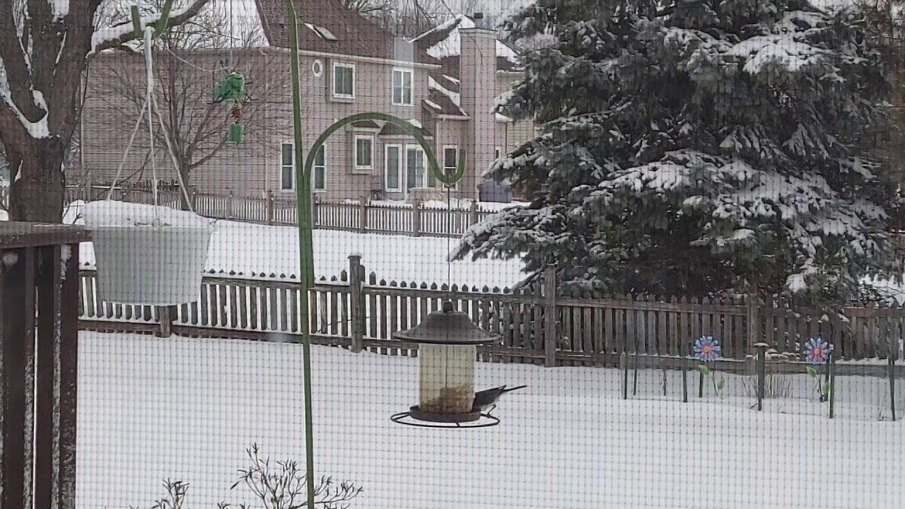 Atharv's Digital world