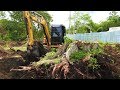 Mini Excavator Digging Removing Tree Stump CAT 305 5E2
