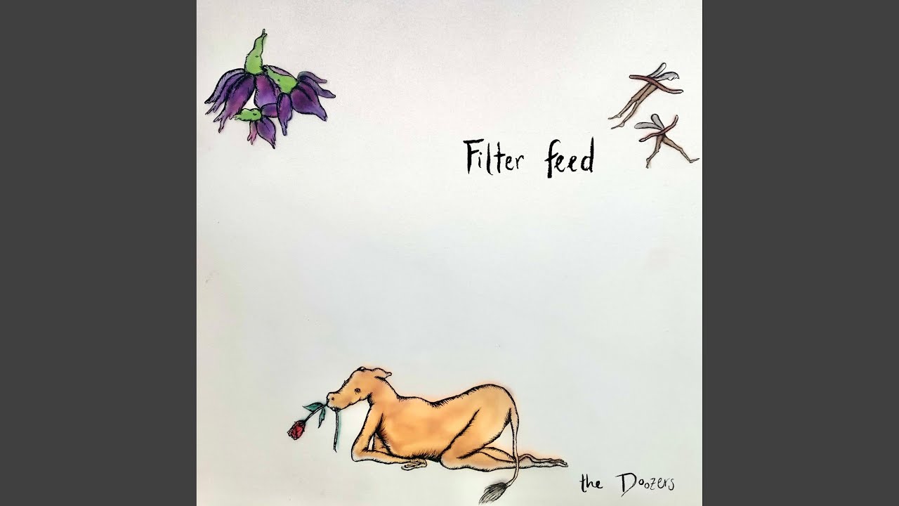 Watch Filter feed on YouTube Watch Filter feed on YouTube