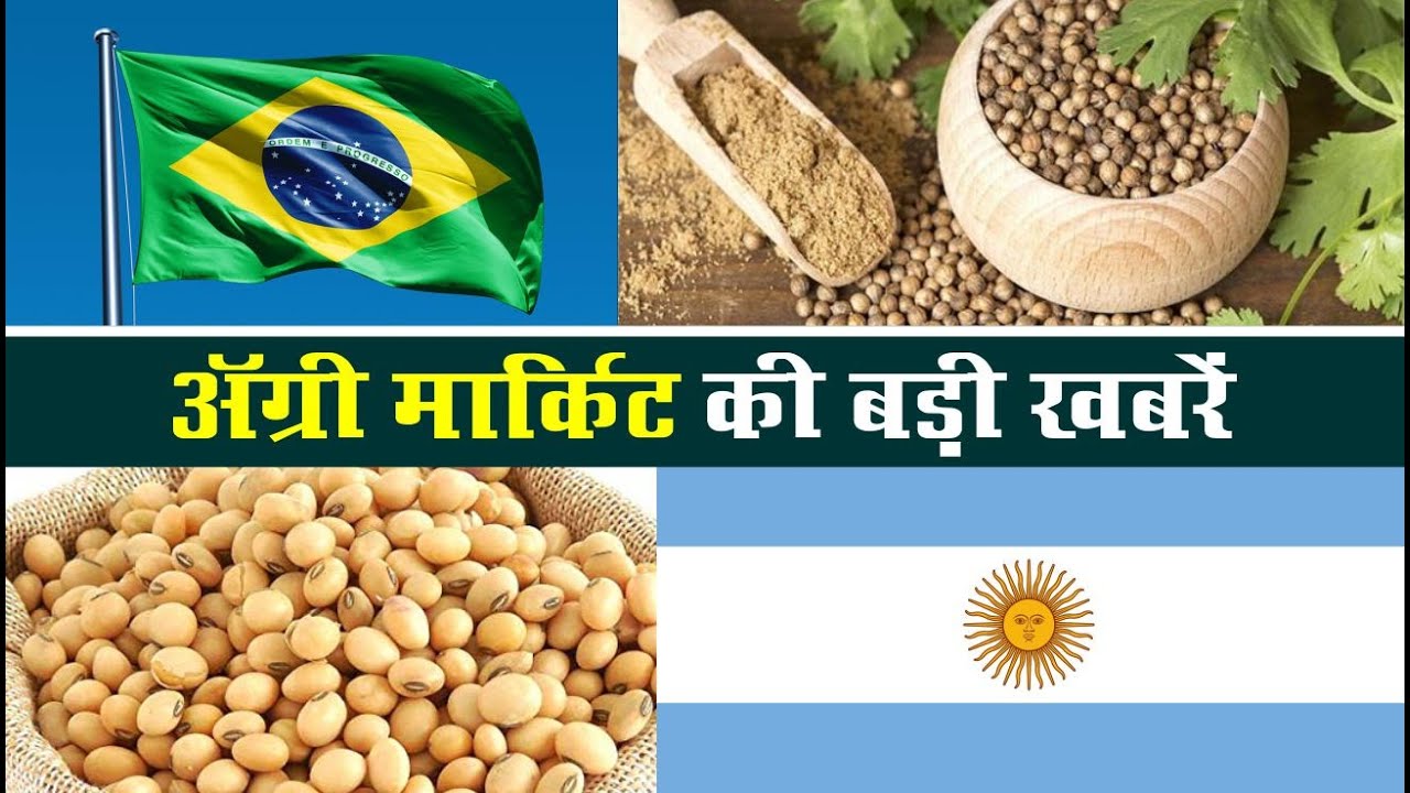 Commodity Update | Mandi Update | Agri Market