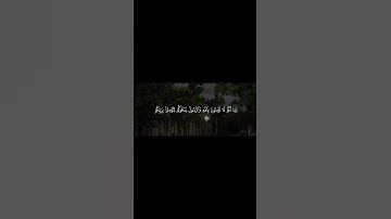 القارئ محمد صديق المنشاوي | سورة الحديد