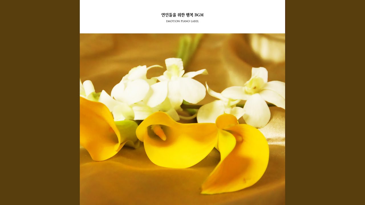 The magic of love YouTube