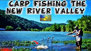 CATCHING LIVE BAIT & CARP FISHING-Hinton,West Virginia