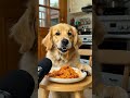 Adorable Puppy Enjoys Spaghetti ASMR 🐶💖 #shorts #asmr #puppy #eating #mukbang #youtubeshorts