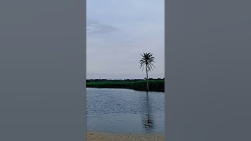 تلاوة تلامس القلوب😊🤍🥀