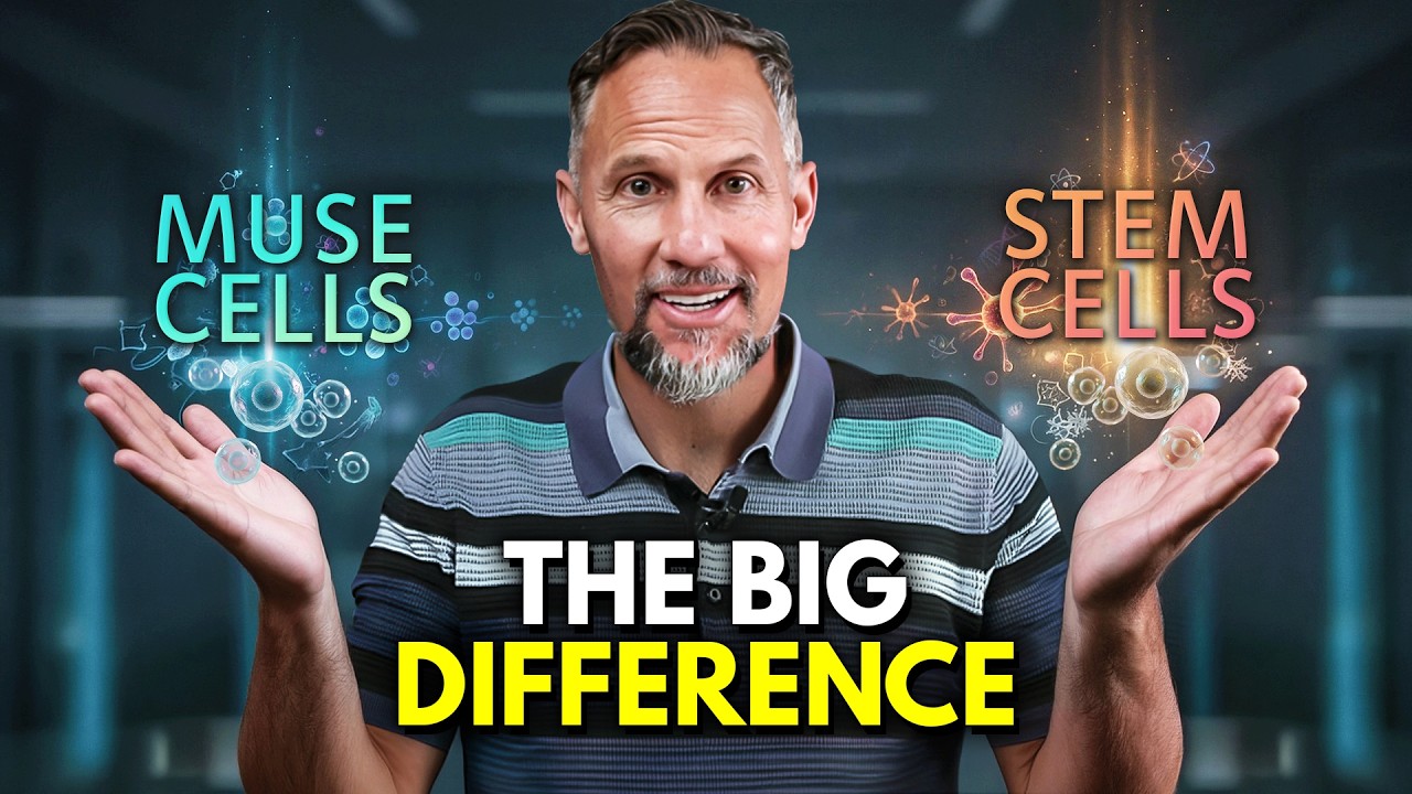 MUSE Cells vs Stem Cells: Key Differences, Safety, and the Future of Regenerative Medicine