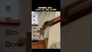 Ranking Cats VS Stairs😂  #animals #edit #shorts #funny #cats
