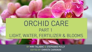 Orchid Care Light, Water, Fertilizer, And Blooms