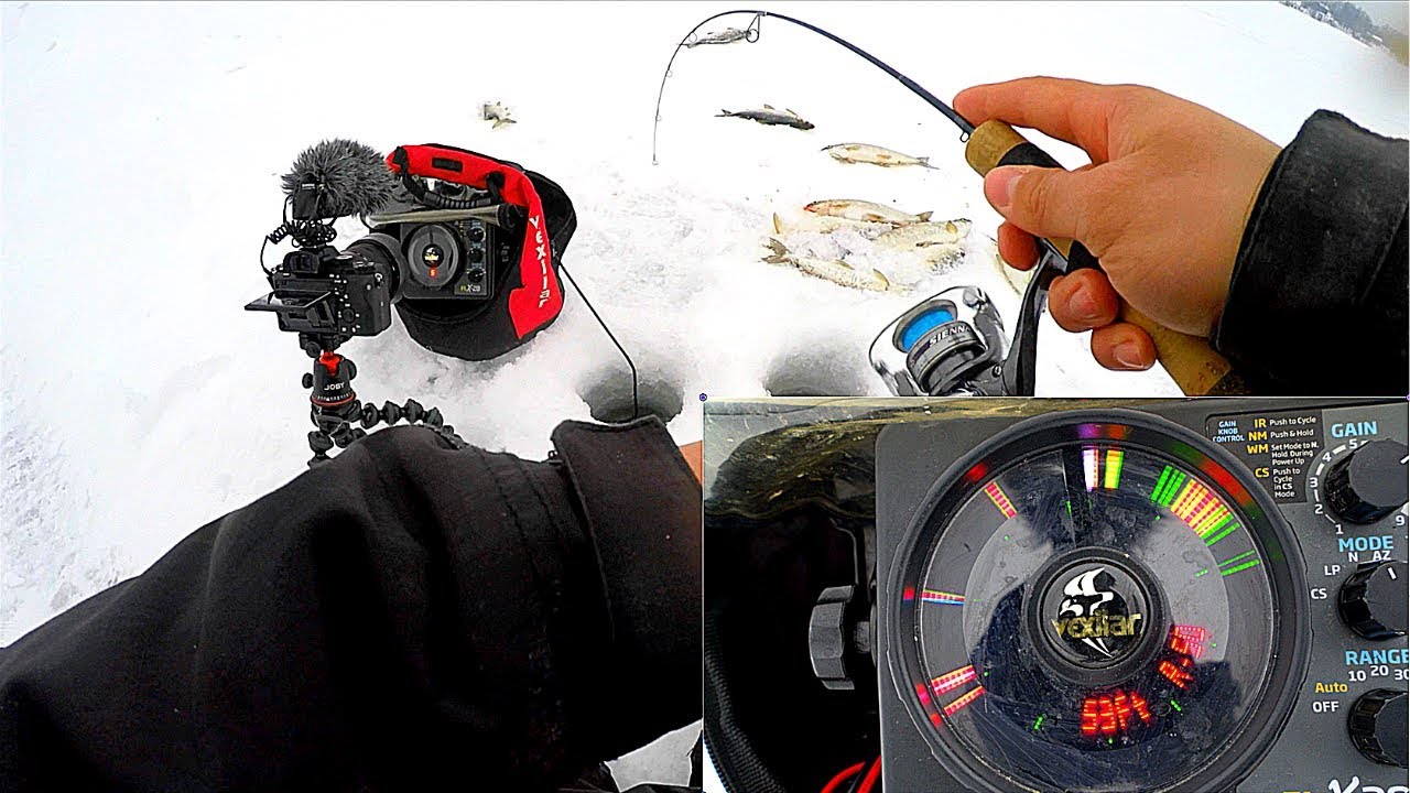 EPIC Video Game Ice fishing! (Flasher Cam) YouTube