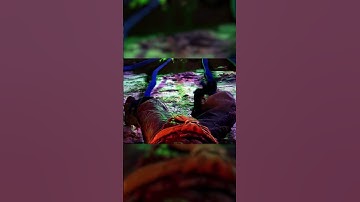 Noob Saibot Destroys Havik Scene - Mortal Kombat 1 Khaos Reigns #shorts #shortsfeed