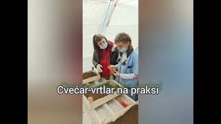 Cvećar-Vrtlar Seju Lekovito Bilje