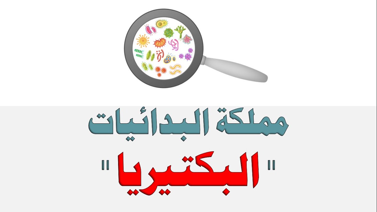 مملكة البكتيريا   - العلوم والحياة - الصف الثامن الأساسي - المنهاج الفلسطيني