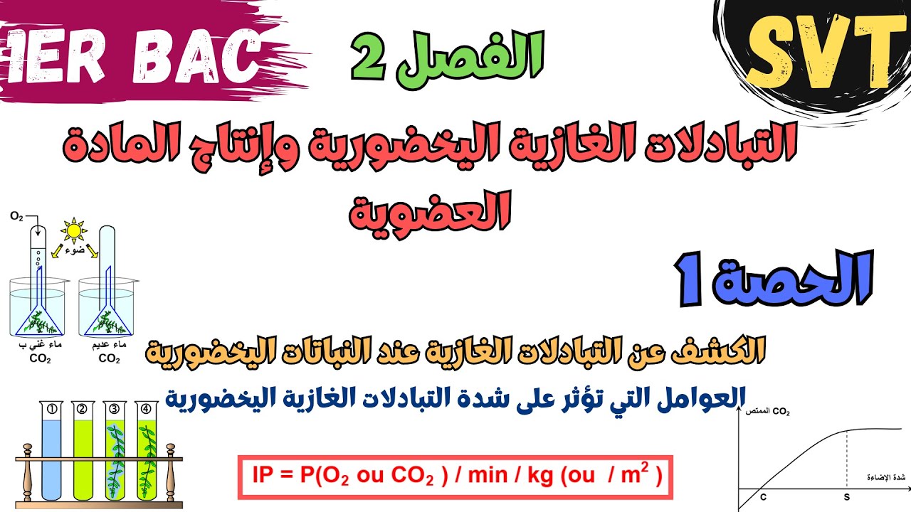 1 باك | الفصل 2: التبادلات الغازیة الیخضوریة وإنتاج المادة العضویة | الحصة 1: التبادلات الغازیة