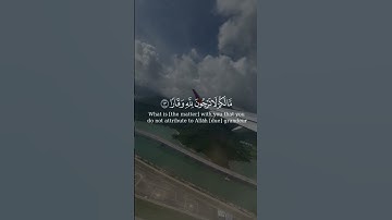 فقلت استغفروا ربكم #اكسبلور #ارحقلبك #quran #راحة_نفسية #لايك #ارحسمعك #تلاوة_خاشعة #حالات_واتس