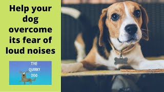 Help Your Dog With Fear of Fireworks, Thunder, And More