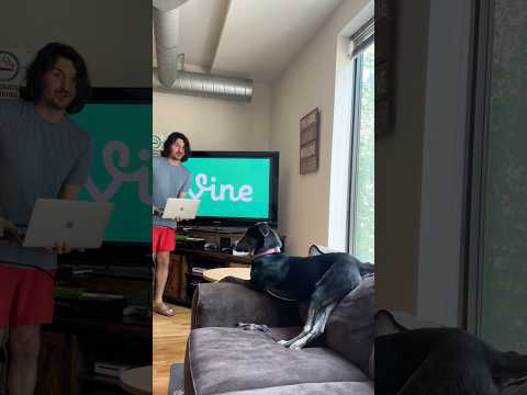 Who remembers Vine?