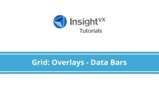 Insight VX Tutorials: iTab - Grid Overlays (Data Bars)