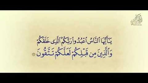 قراءه هادئه لما تيسر من سورة البقرة للقارئ ادهم هاني