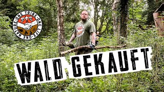 NICHT LABERN, SONDERN MACHEN ! ⎮ Fortschritte, Fakten, Einblicke ⎮ ONE TRIBE ⎮ Max Cameo