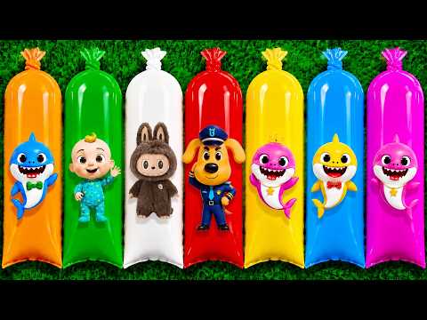 FINDING : Baby Shark, Pinkfong, Daddy Shark, Grandma Shark, Grandpa Shark, William, Mommy Shark.