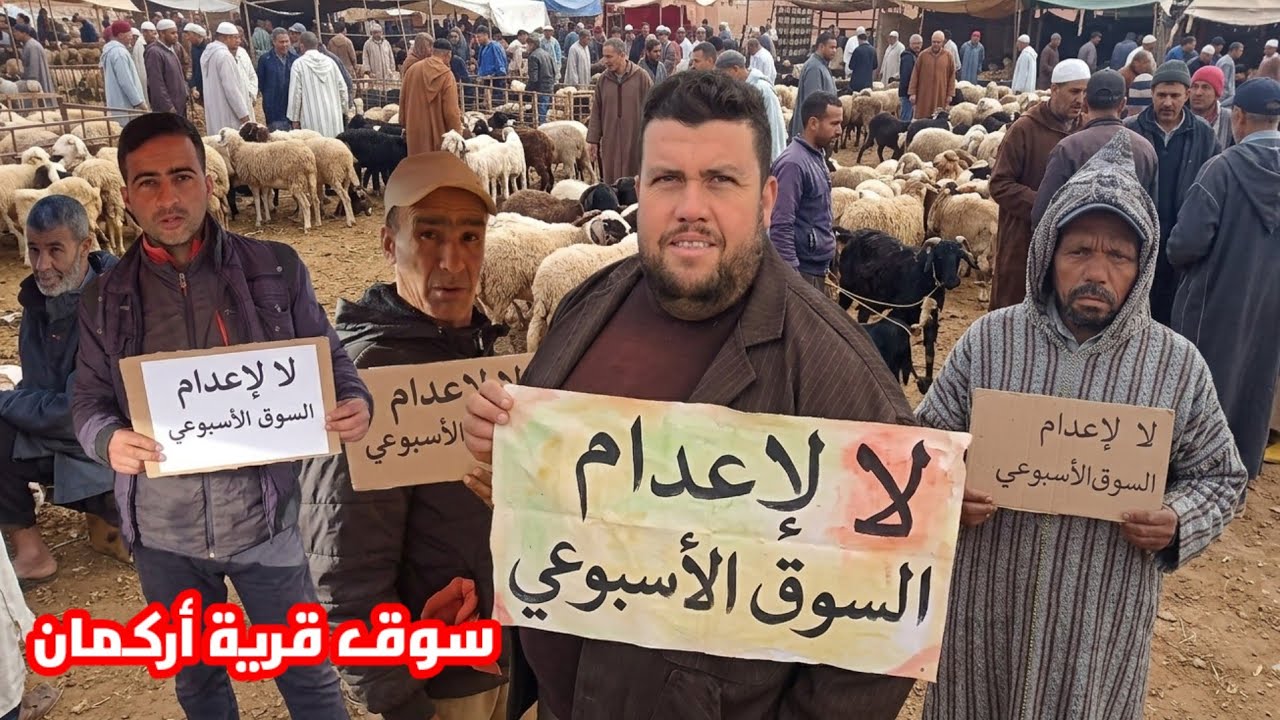 من سوق الأسبوعي قرية أركمان شوفو الحولي موجود والتبن والفصة عكس أزغنغان وأسواق أخرى شوفو شنو قالو