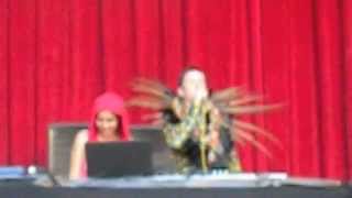 Totally Enormous Extinct Dinosaurs Sonar 2012