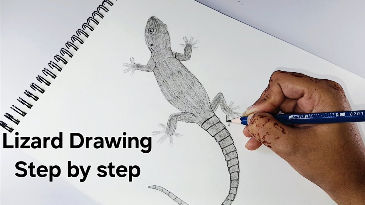 How to Draw a Lizard || Easy Lizard Drawing Step by Step 🦎🦎