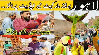 Lahore Shalimar Sunday birds market Mai Aj awam Ka Bht Rush| Market Mai Bohat kam Price pr Birds