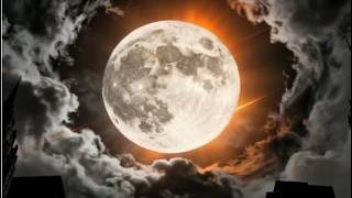 Michael Delgado - Full Moon Night