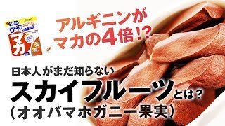 女性にも効果大！スカイフルーツの栄養価がマカよりすごい｜最新サプリ｜精力剤【Dr.Ben*】