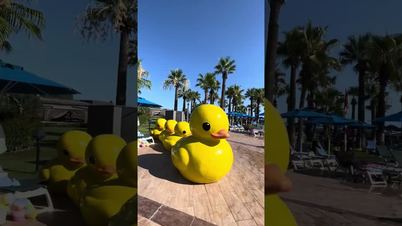 Отель Megasaray Club Belek 5* Турция, Белек. Видео обзор отеля!