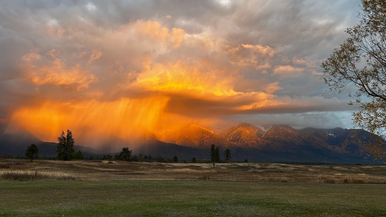 Isolated showers, morning fog through Wednesday; next weather maker ...