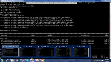 Cloudera Manager upgrade