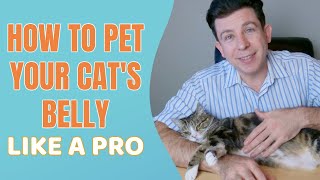 How to pet your cat's belly like a pro by Helpful Vancouver Vet 203,737 views 1 year ago 11 minutes, 26 seconds