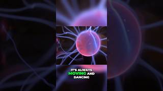 Is Plasma the Most Fundamental State?
