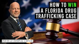 Example of a winning Motion to Suppress, how to win a Florida drug trafficking case (lawyer)