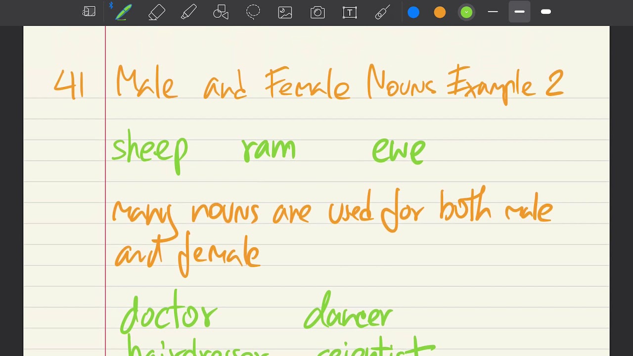 41-male-and-female-nouns-example2-youtube