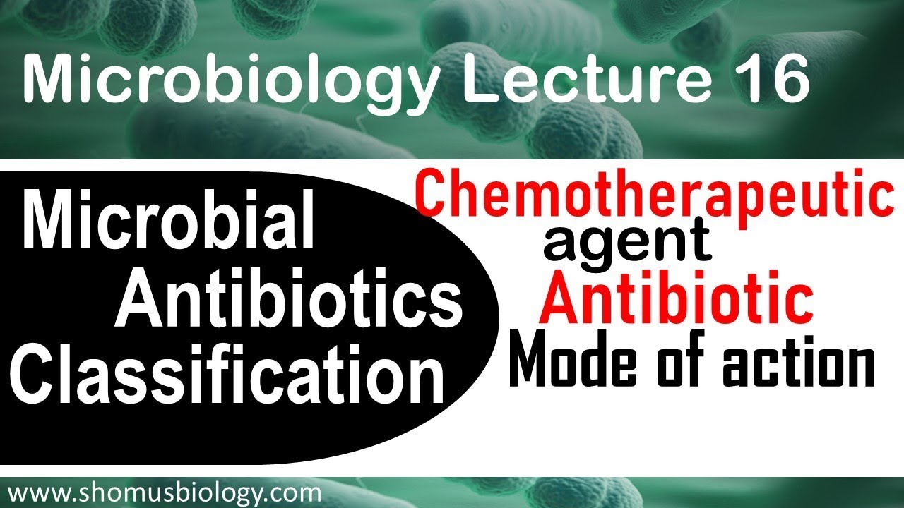 Chemotherapeutic agents microbiology YouTube