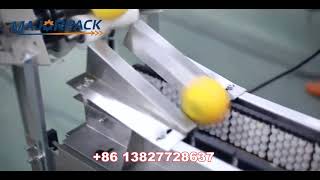 Full automatic fruit orange packing machine majorpack